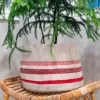 Redline Basket-2